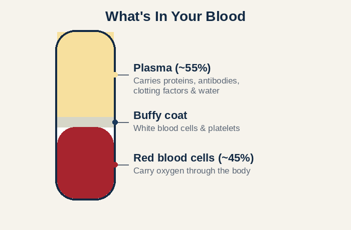Diagram of a blood sample separated into plasma, buffy coat, and red blood cells